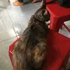 24H Buôn Chuyện