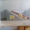 zebri.tworis.bany
