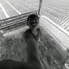 genanaja5