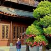 hoatong88