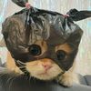 cukaa_matchaa0