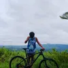francis_randompost
