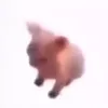 dd.mifbj