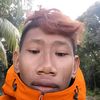 partaidemokrasi.gamil.co