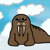 walrusek