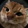 bbyszz_lexa