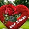 user5327119081948