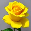 aziz_halabjay1
