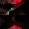 about.malaa16