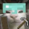 𝐙𝐋𝐓𝐀