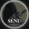 the_senu2.0