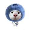 blue.berry.444