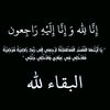 halabo32