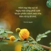 thao5772