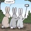 motya123321