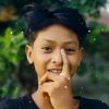 pie.lay5