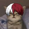ikis_ikasuki1