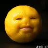 roko_vlasic4