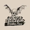 A7X Brazilian Fans