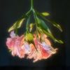 flower poetry