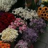 osman_hsn