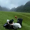 茶