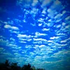 thien_chill_66