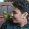 malek_ali1431