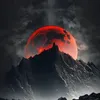 user1181102747514