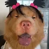 thuy11407