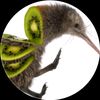 asiankiwi