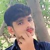 zubairdogar3847