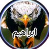 asas9187