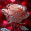 user41538071317306