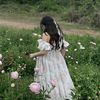 roza53401
