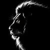 🦁𝓐𝓫𝓸 🦅𝓐𝓱𝓶𝓮𝓭