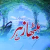 mithazehar73