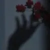 kynoh_