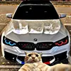 as_gc466