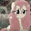 flutttershy4