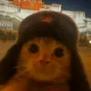 hugo_cooki
