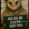 josue20271