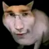 im_wynne122967