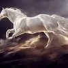 alhamdalalah109383