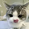 bambi_mai1