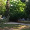 zurs.kikvadze