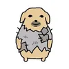 user_036189