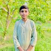 taha.794