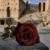 ashraf.shmali