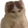 alexis_jash